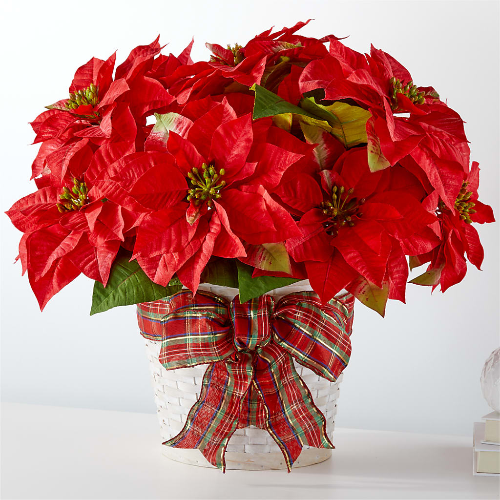 Happiest Holidays Poinsettia – Verona Florist, Woodbridge ON