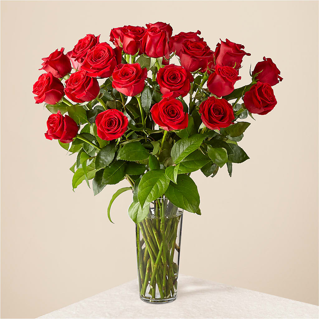 Long Stem Red Rose Bouquet – Verona Florist, Woodbridge ON