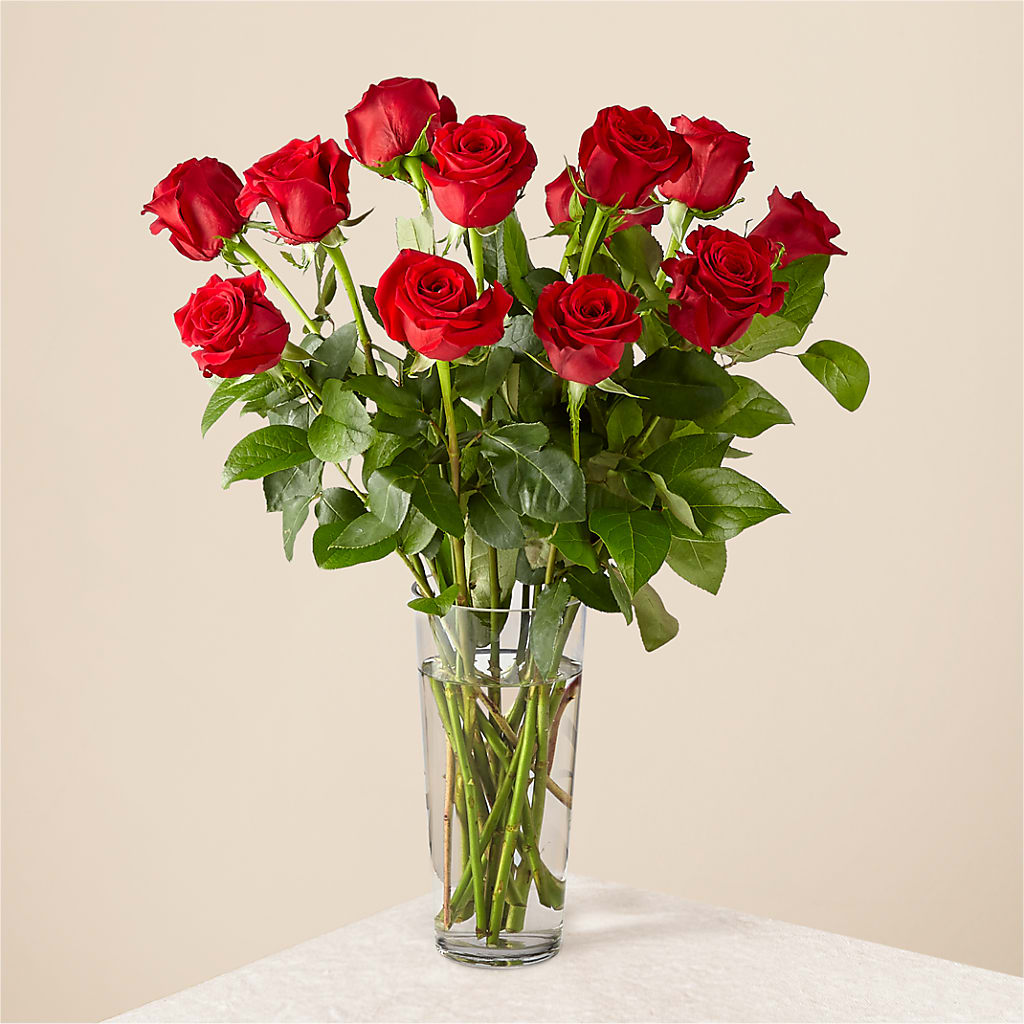 Long Stem Red Rose Bouquet – Verona Florist, Woodbridge ON