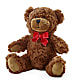 Adorable Plush Bear – Verona Florist, Woodbridge ON