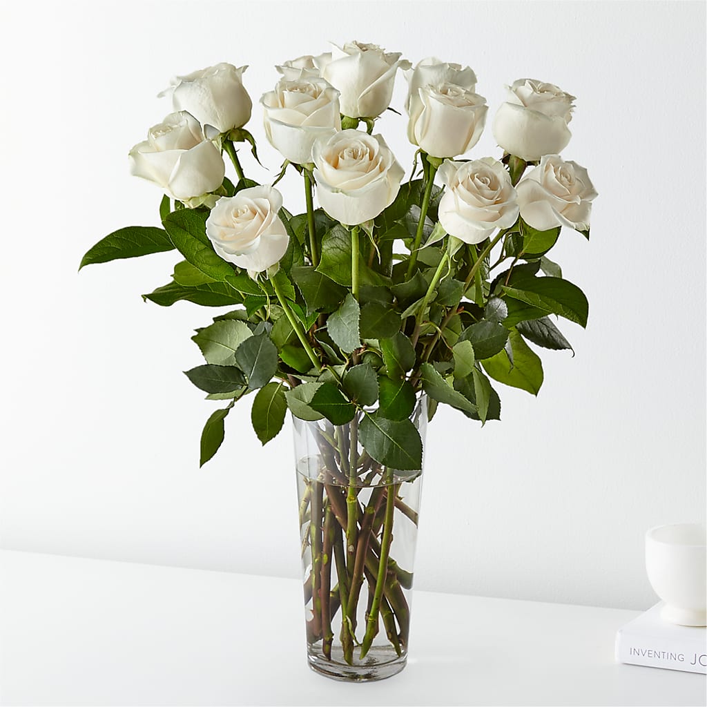 Long Stem White Rose Bouquet – Verona Florist, Woodbridge ON