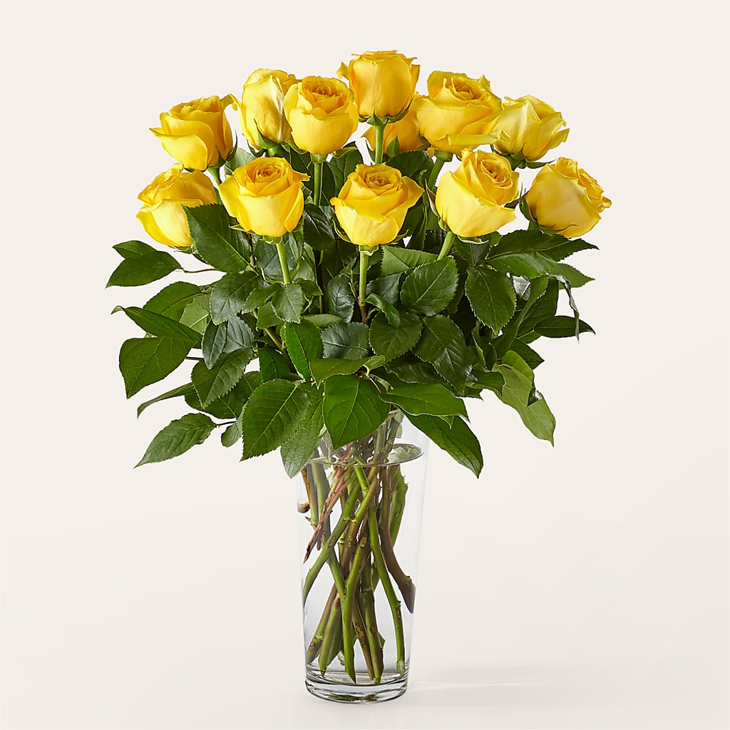 Long Stem Yellow Rose Bouquet – Verona Florist, Woodbridge ON