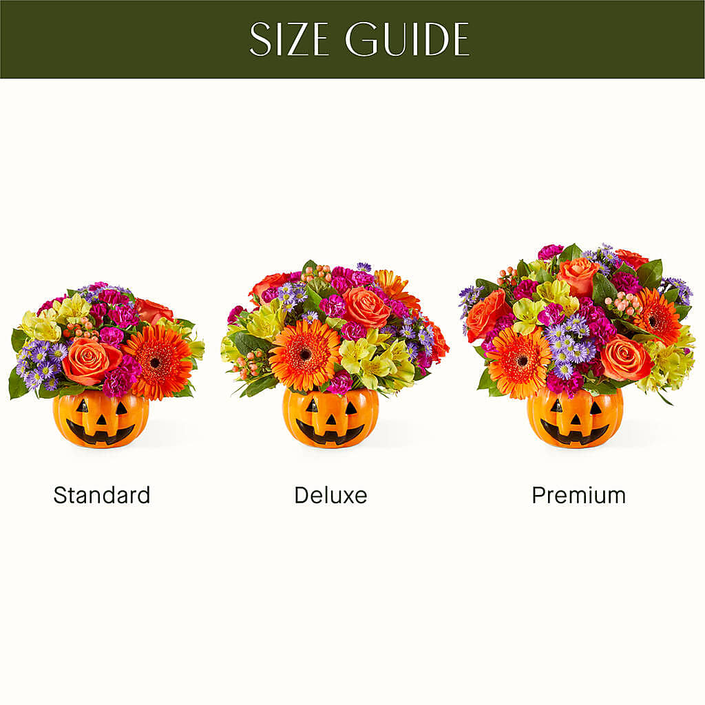 Tricks & Treats Pumpkin – Verona Florist, Woodbridge ON