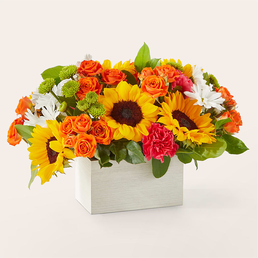 Sun-drenched Blooms Box Bouquet – Verona Florist, Woodbridge ON
