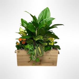 Peaceful Planter – Verona Florist, Woodbridge ON