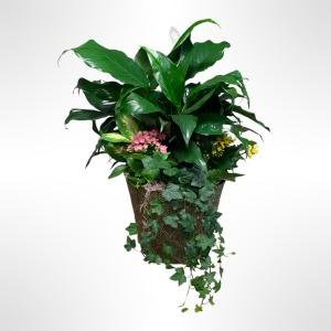 Lovely Light Planter – Verona Florist, Woodbridge ON