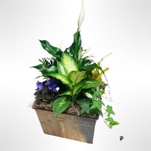 Peace & Comfort Planter – Verona Florist, Woodbridge ON