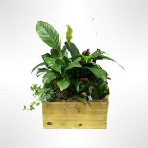 Tranquil & Elegant Planter – Verona Florist, Woodbridge ON