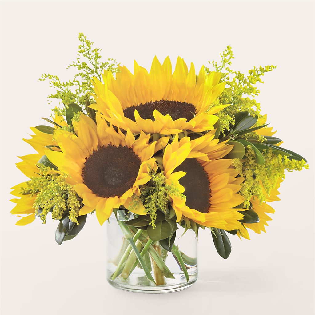 Beaming Sunflower Bouquet – Verona Florist, Woodbridge ON