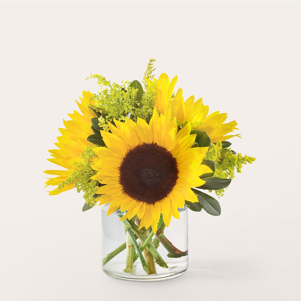 Beaming Sunflower Bouquet – Verona Florist, Woodbridge ON