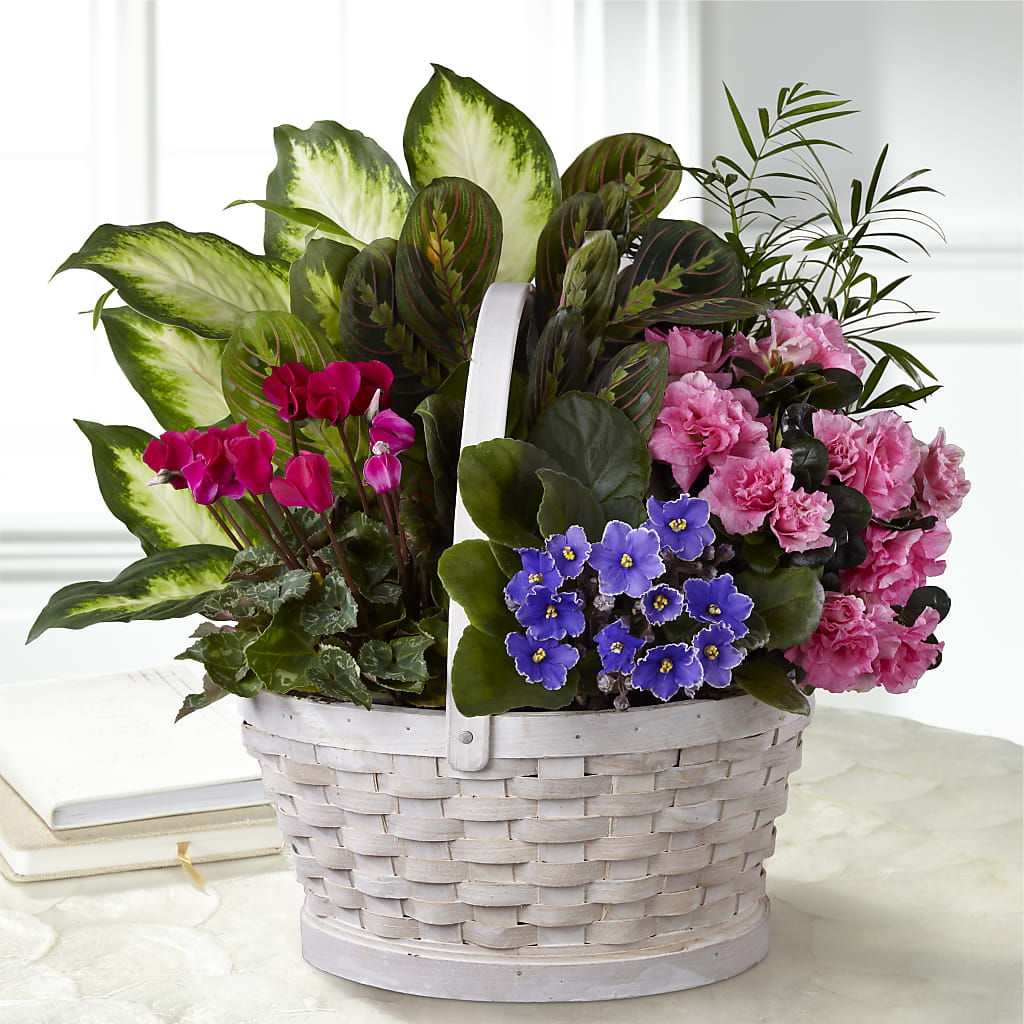 Peaceful Garden Planter – Verona Florist, Woodbridge ON
