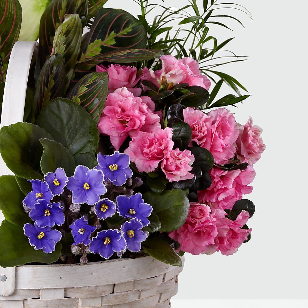 Peaceful Garden Planter – Verona Florist, Woodbridge ON