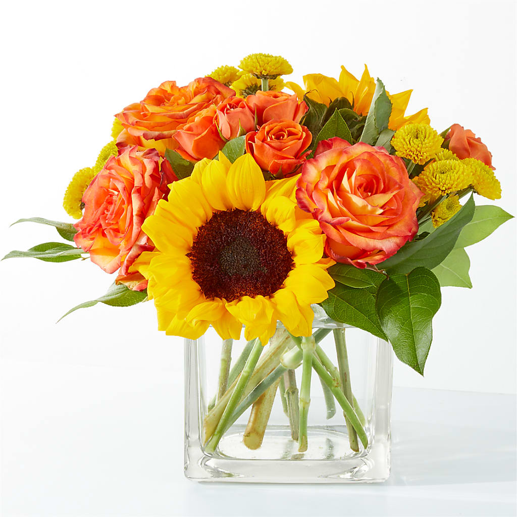 Picnic in the Park Bouquet – Verona Florist, Woodbridge ON