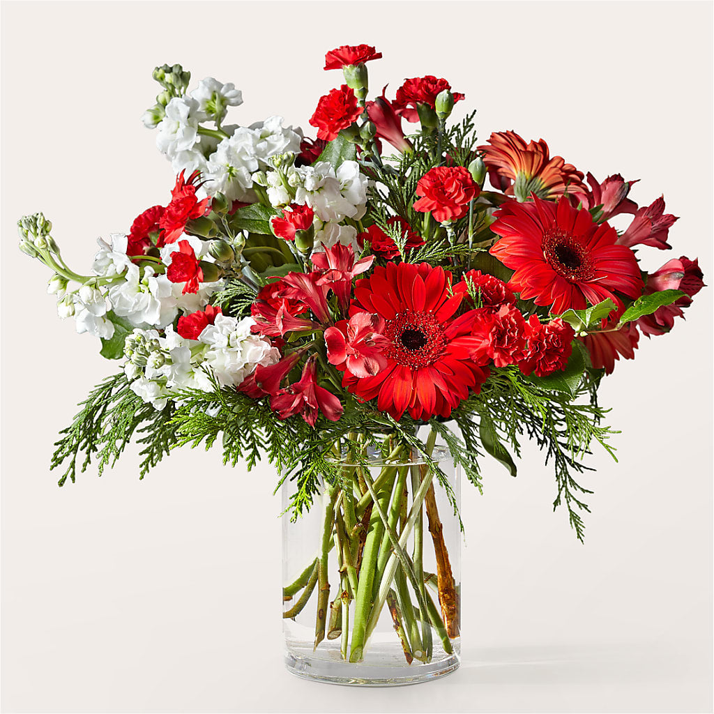 Holidaisy Bouquet – Verona Florist, Woodbridge ON