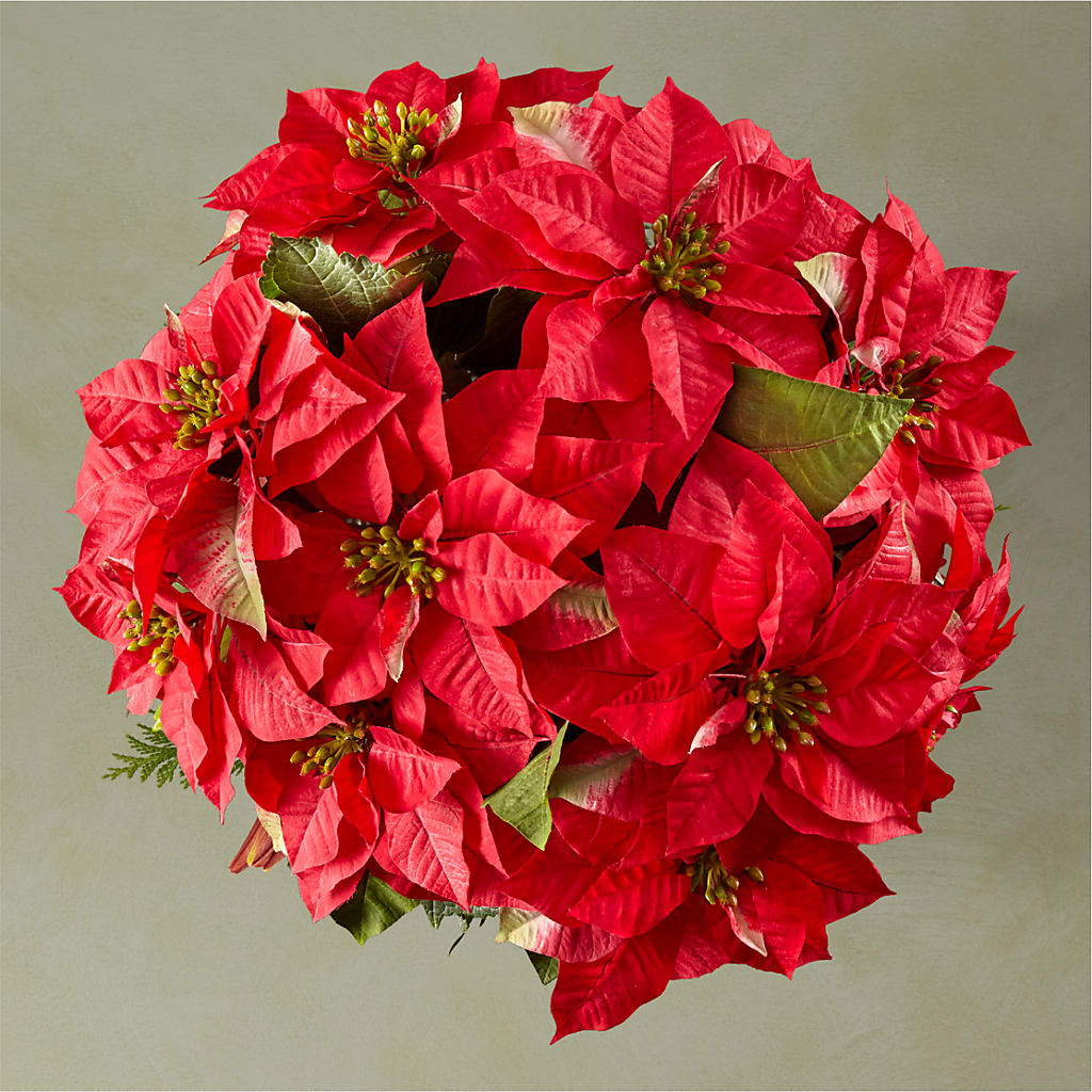Happiest Holidays Poinsettia –  Verona Florist, Woodbridge ON