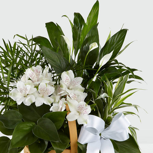 Peace & Serenity Dishgarden –  Verona Florist, Woodbridge ON