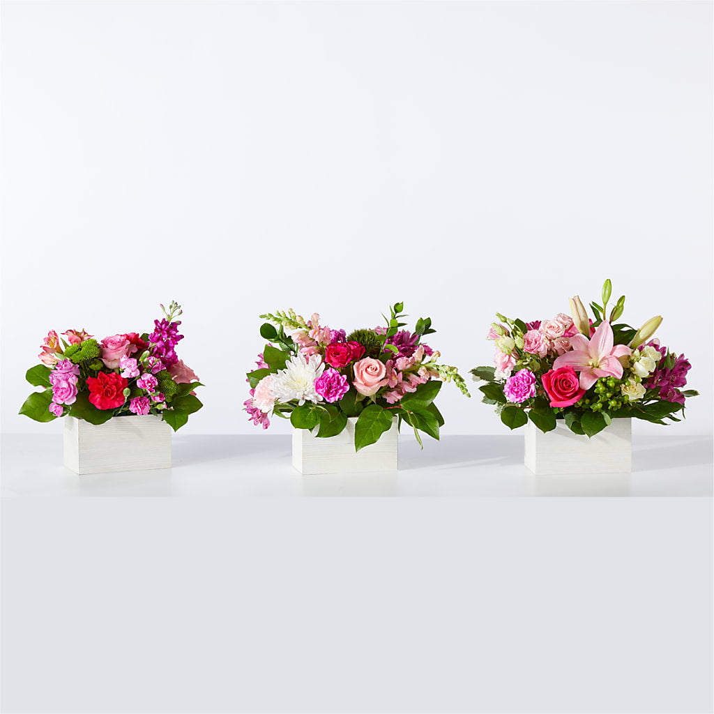 Sweetberry Box – A Florist Original –  Verona Florist, Woodbridge ON