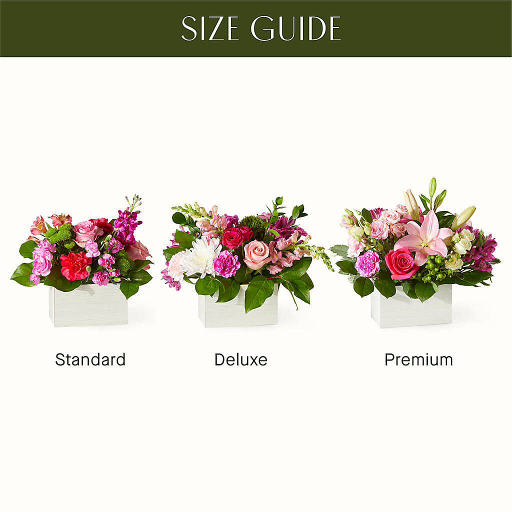 Sweetberry Box – A Florist Original –  Verona Florist, Woodbridge ON
