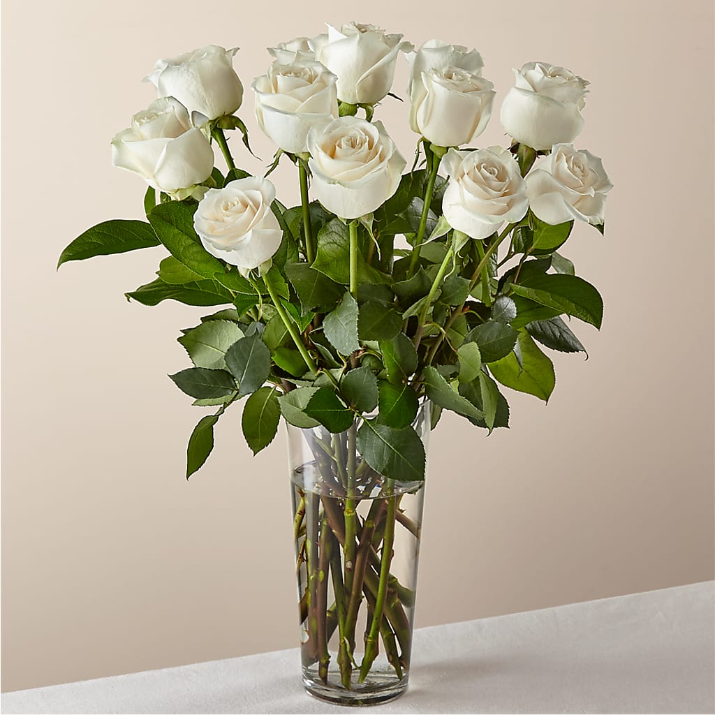 Long Stem White Rose Bouquet –  Verona Florist, Woodbridge ON