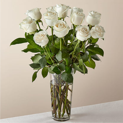 Long Stem White Rose Bouquet –  Verona Florist, Woodbridge ON