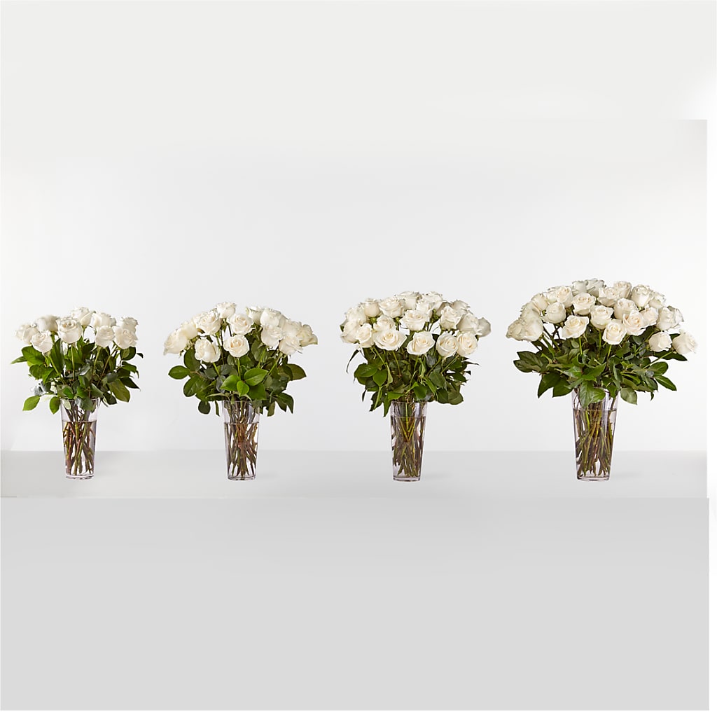 Long Stem White Rose Bouquet –  Verona Florist, Woodbridge ON