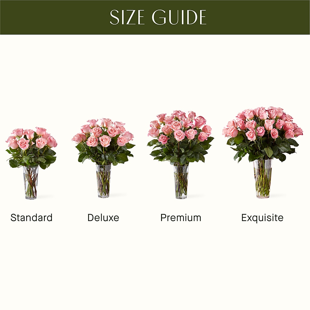 Long Stem Pink Rose Bouquet –  Verona Florist, Woodbridge ON