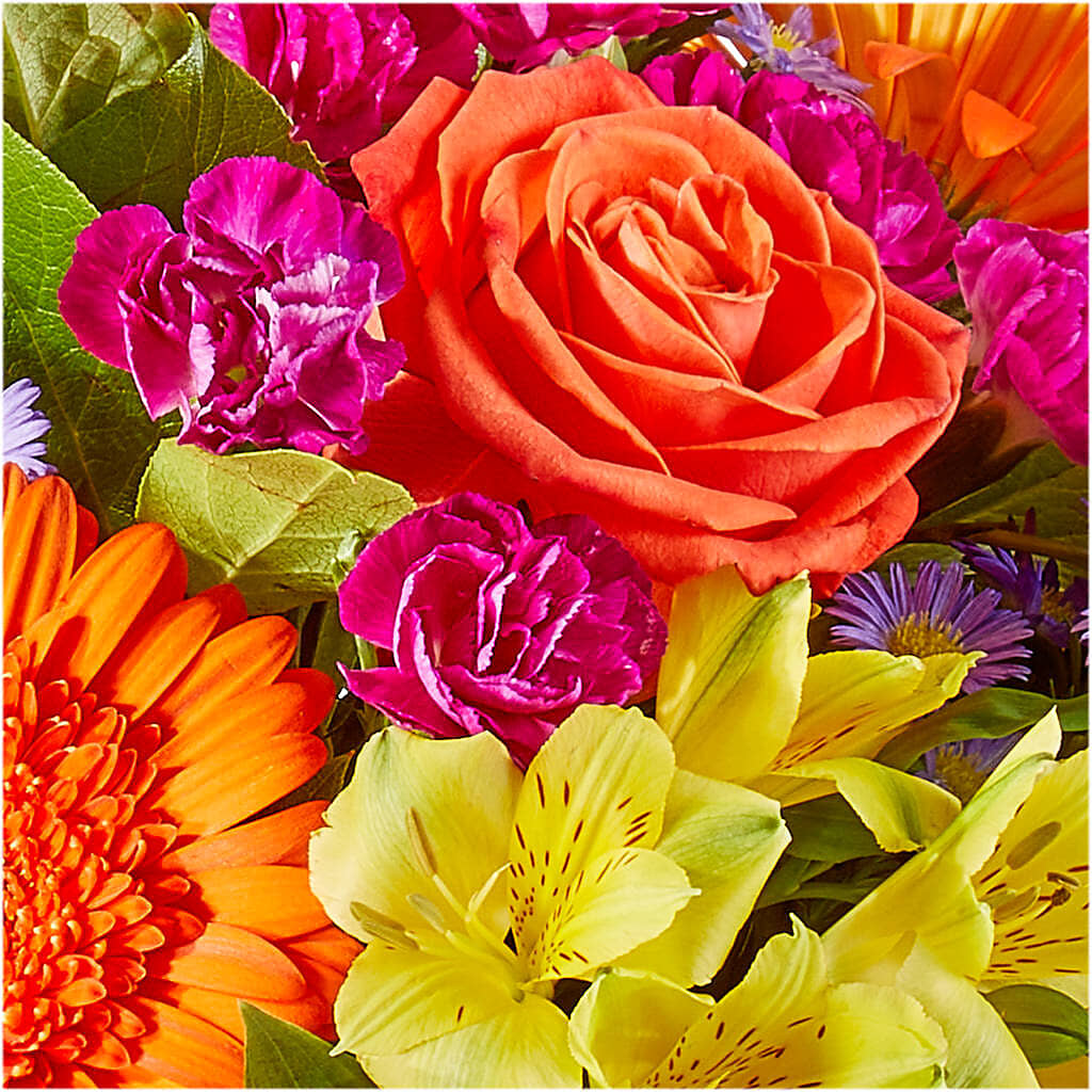 Tricks & Treats Pumpkin –  Verona Florist, Woodbridge ON