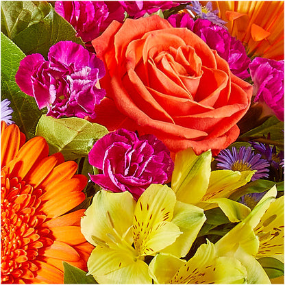 Tricks & Treats Pumpkin –  Verona Florist, Woodbridge ON