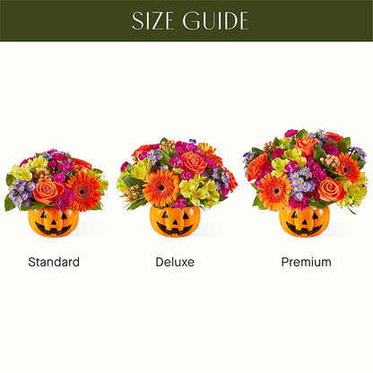 Tricks & Treats Pumpkin –  Verona Florist, Woodbridge ON