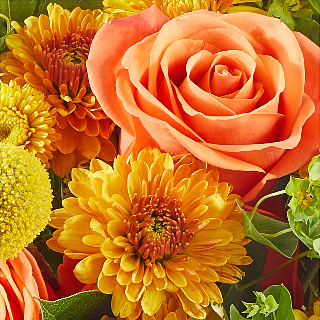 Gourdgeous Pumpkin –  Verona Florist, Woodbridge ON
