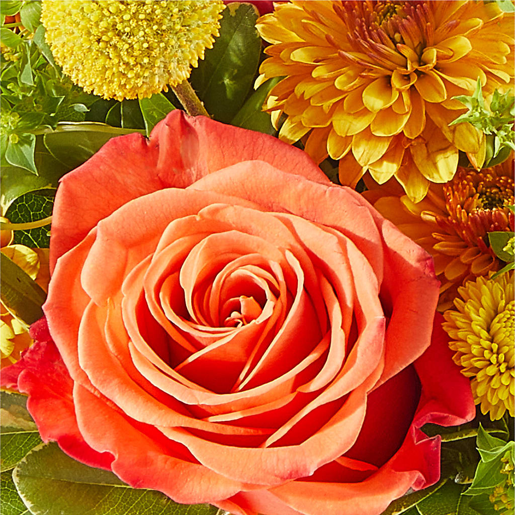Gourdgeous Pumpkin –  Verona Florist, Woodbridge ON