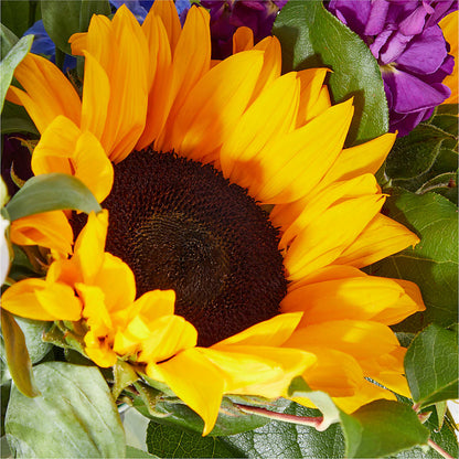 Catching Rays Bouquet –  Verona Florist, Woodbridge ON