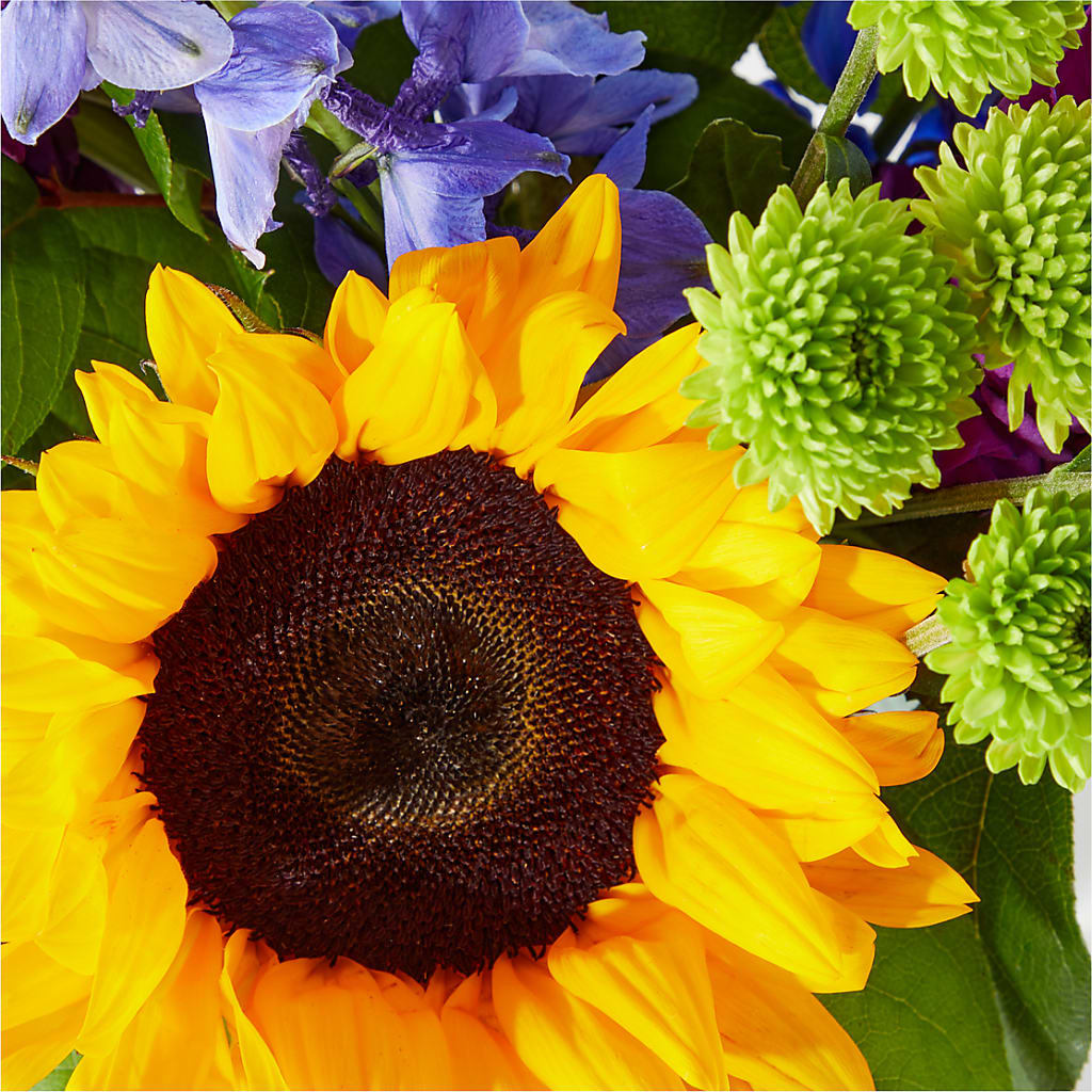 Catching Rays Bouquet –  Verona Florist, Woodbridge ON