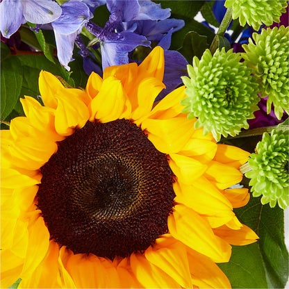 Catching Rays Bouquet –  Verona Florist, Woodbridge ON