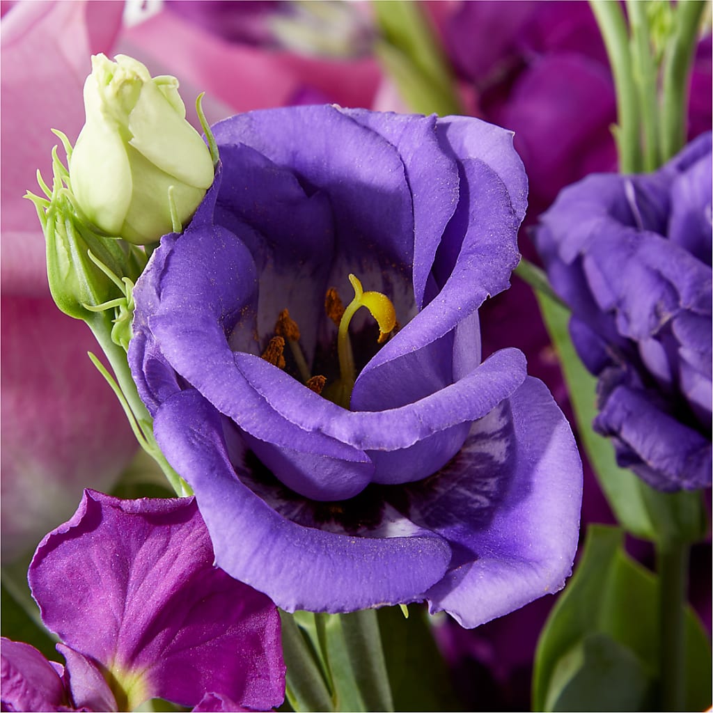 Twilight Glow Bouquet –  Verona Florist, Woodbridge ON