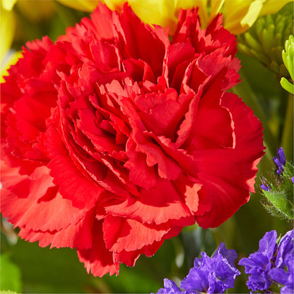 Brighter Days Bouquet –  Verona Florist, Woodbridge ON