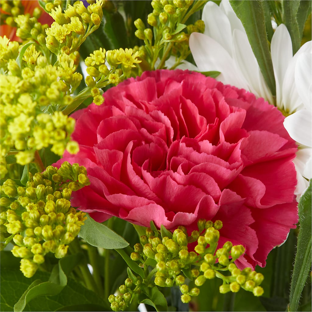 Oopsie Daisy Bouquet –  Verona Florist, Woodbridge ON