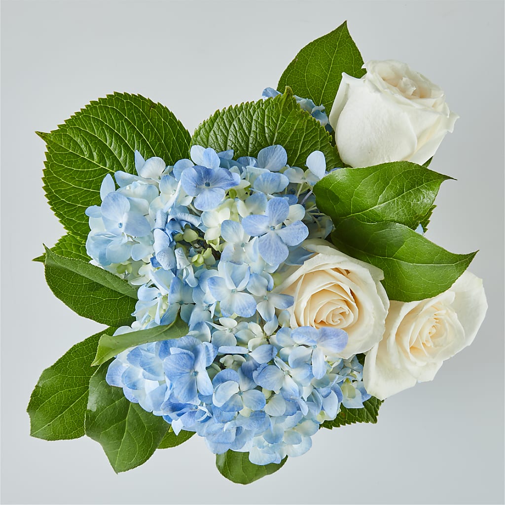 Sky Blue Delight Bouquet –  Verona Florist, Woodbridge ON