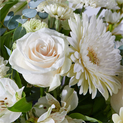 New Beginnings – A Florist Original –  Verona Florist, Woodbridge ON
