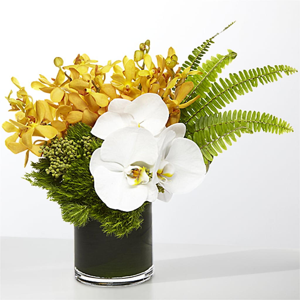 The Tropics –  Verona Florist, Woodbridge ON