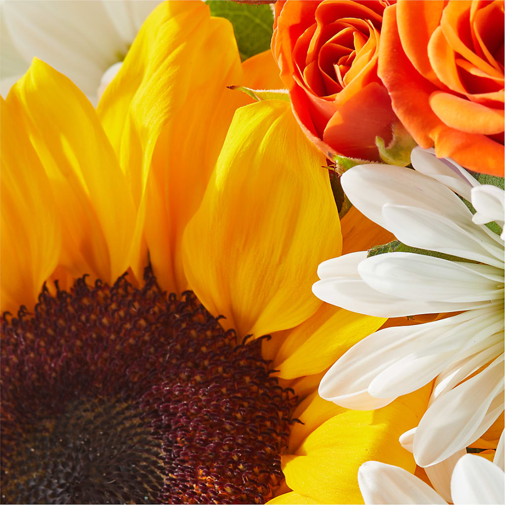 Sun-drenched Blooms Box Bouquet –  Verona Florist, Woodbridge ON
