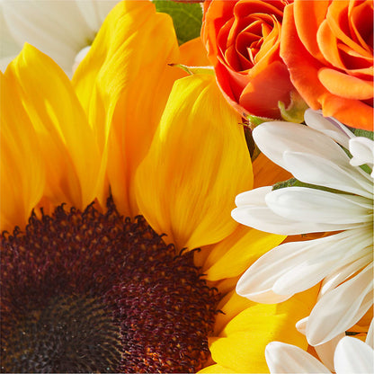 Sun-drenched Blooms Box Bouquet –  Verona Florist, Woodbridge ON