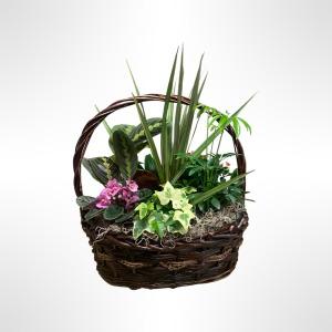 Garden Basket –  Verona Florist, Woodbridge ON
