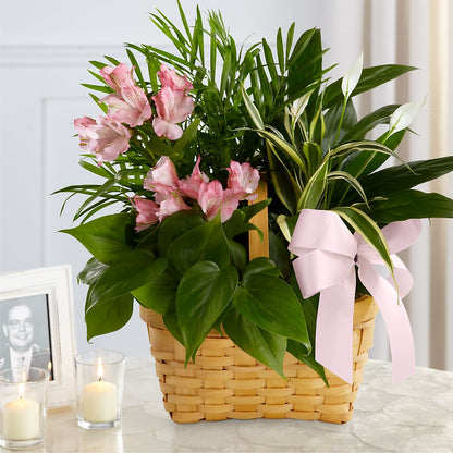 Living Spirit Dishgarden –  Verona Florist, Woodbridge ON