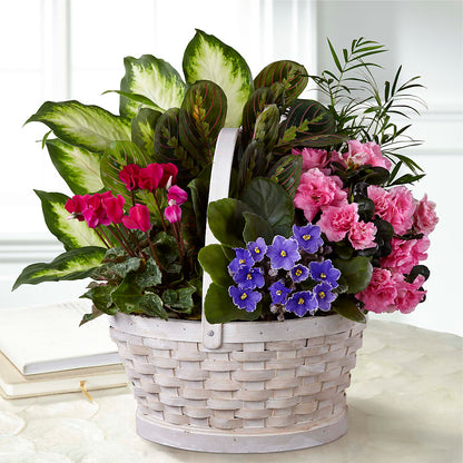 Peaceful Garden Planter –  Verona Florist, Woodbridge ON