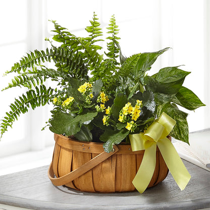 Always Dear Dishgarden –  Verona Florist, Woodbridge ON