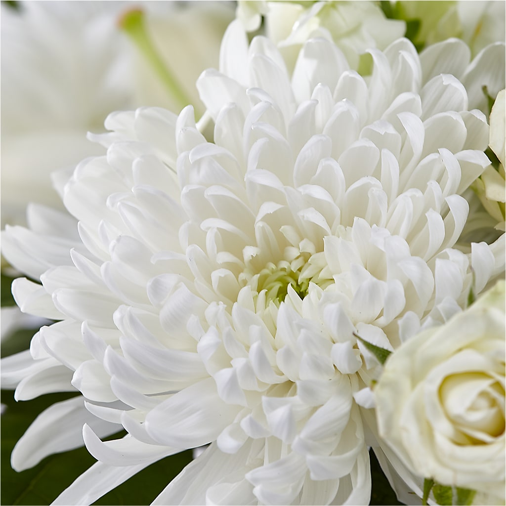 Classic Ivory – A Florist Original –  Verona Florist, Woodbridge ON