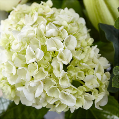 Classic Ivory – A Florist Original –  Verona Florist, Woodbridge ON
