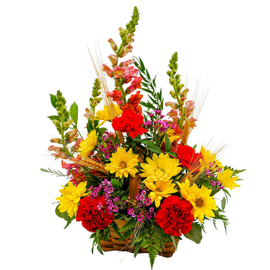 Bushel of Sunshine