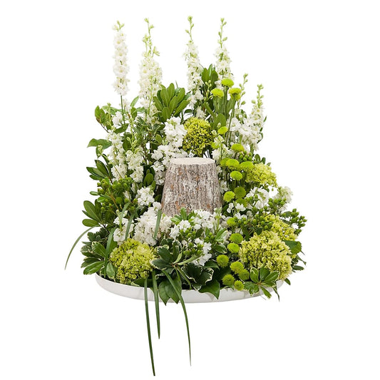 Elegance Surround